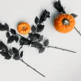 Popup Instagram Feed Image 
